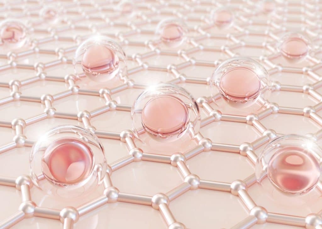 Polynucléotides : améliore la qualité de la peau